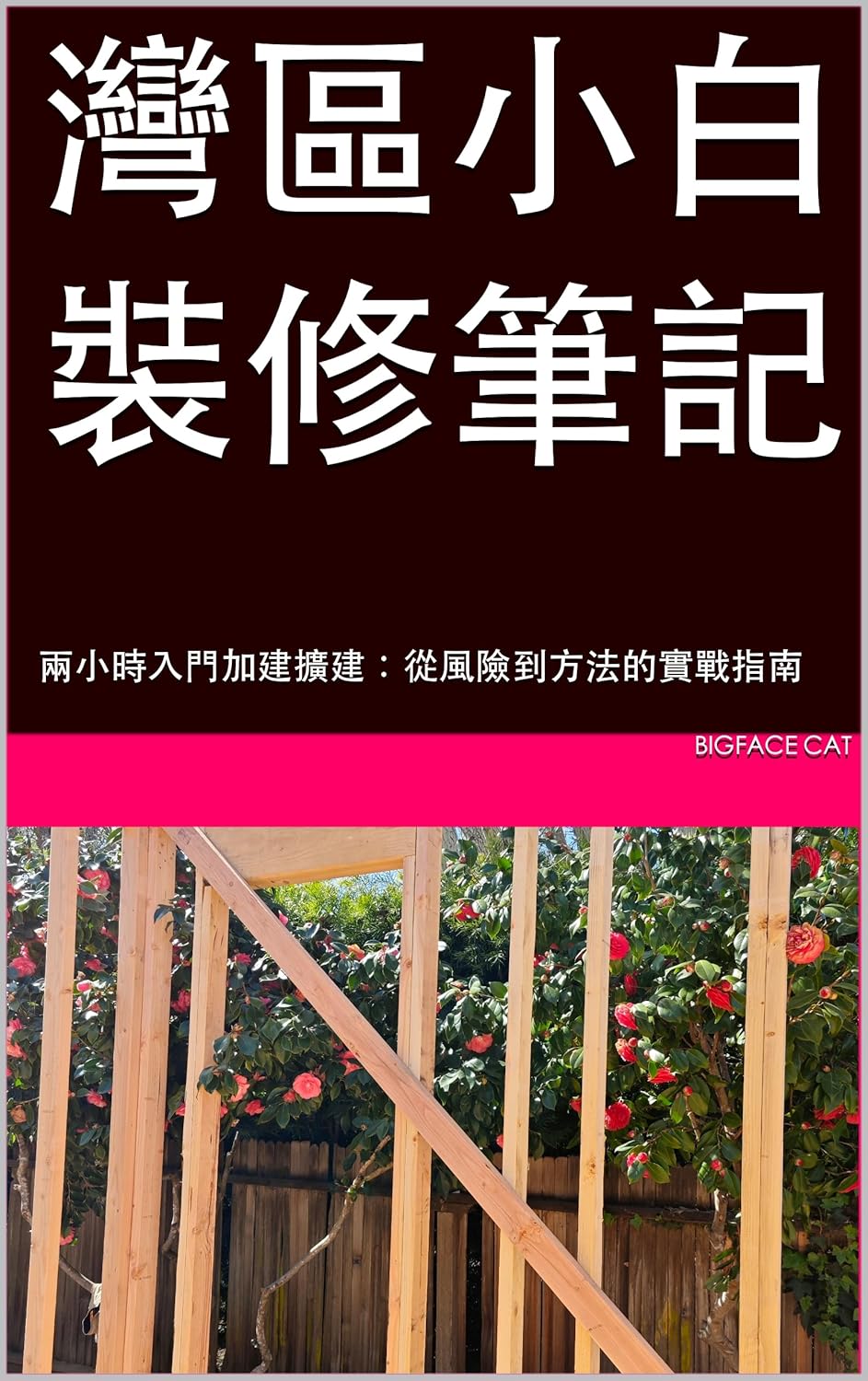 Home Renovation for Dummies: 2-Hour Guide to Your $1M-or-Less Construction Project: Risks and Completion