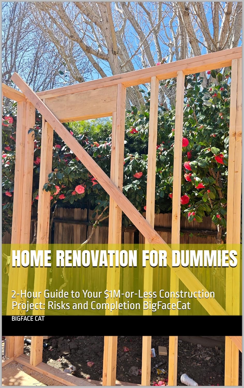 Home Renovation for Dummies: 2-Hour Guide to Your $1M-or-Less Construction Project: Risks and Completion
