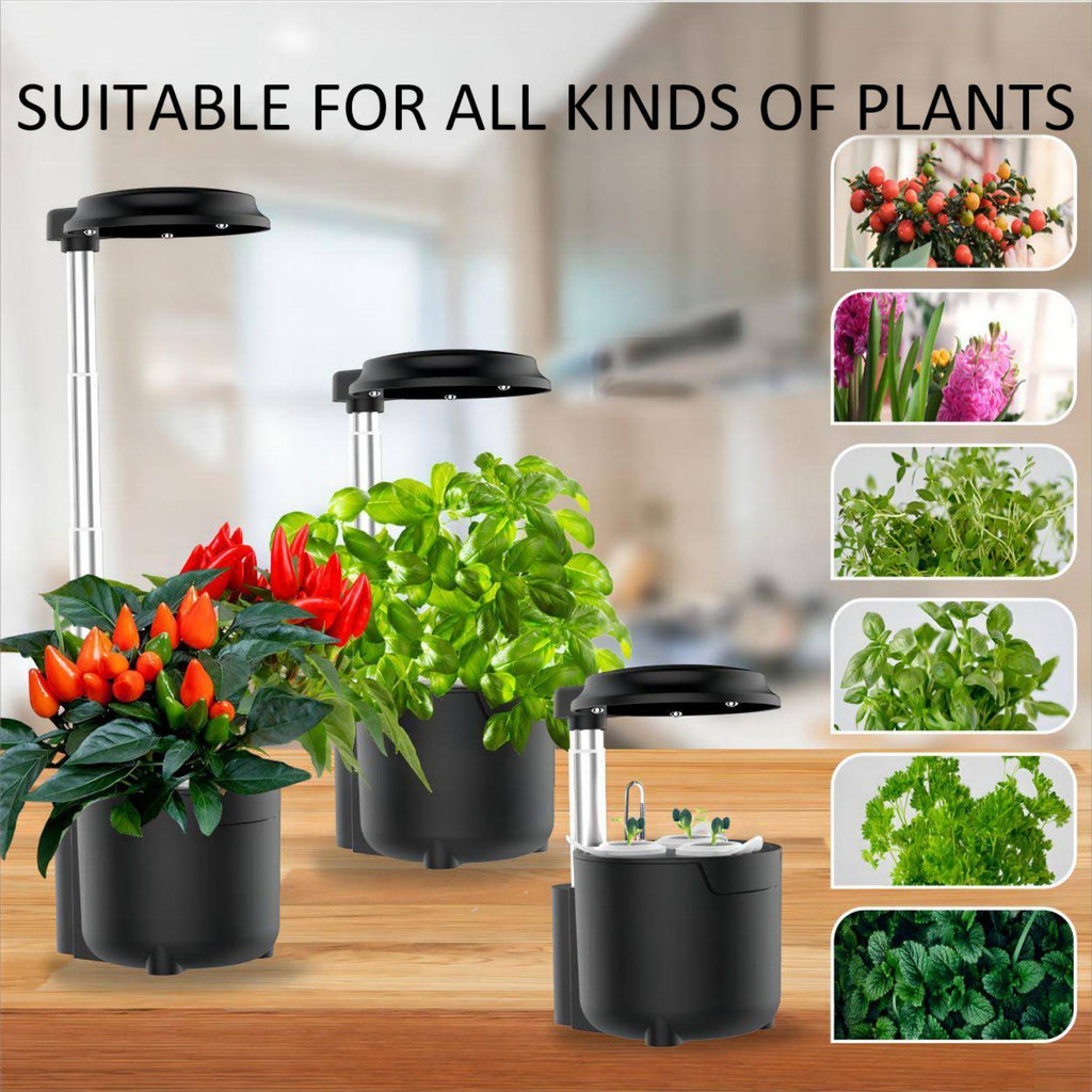 3 Pods Hydroponic Growing System - Indoor Garden with LED Light, Adjustable Height, and Removable 0.75L Water Tank