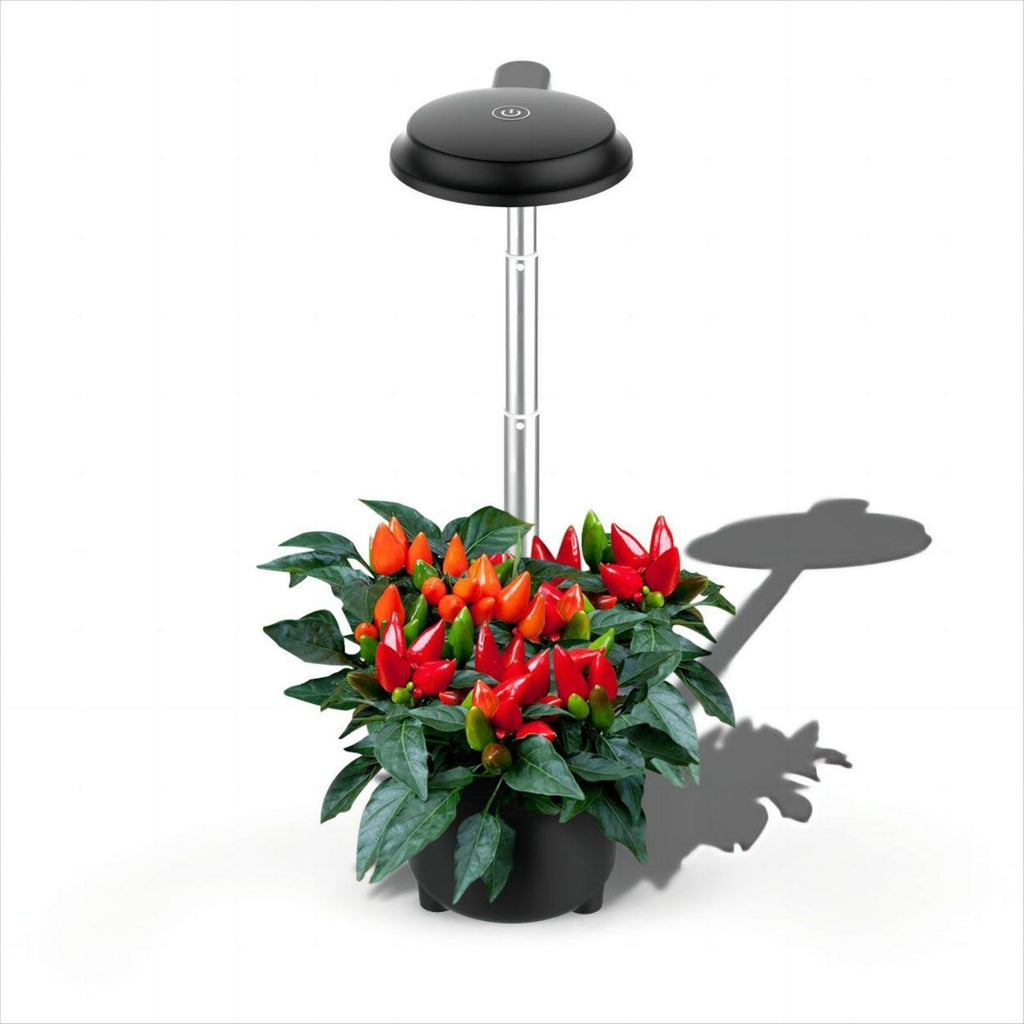 3 Pods Hydroponic Growing System - Indoor Garden with LED Light, Adjustable Height, and Removable 0.75L Water Tank