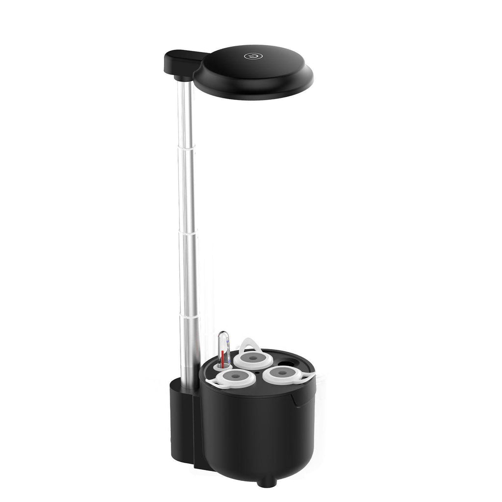 3 Pods Hydroponic Growing System - Indoor Garden with LED Light, Adjustable Height, and Removable 0.75L Water Tank